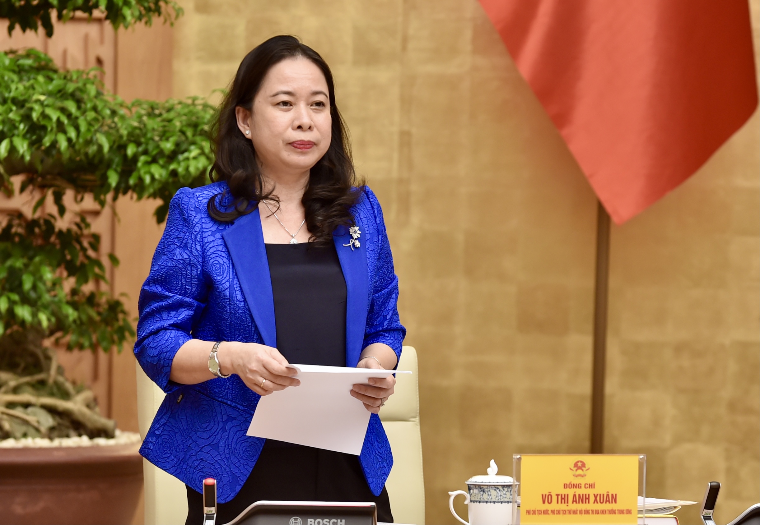 Phó Chủ tịch nước Võ Thị Ánh Xuân phát biểu tại cuộc họp - Ảnh: VGP/Nhật Bắc